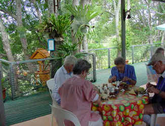 Dine at rainforest cafe in northern nsw